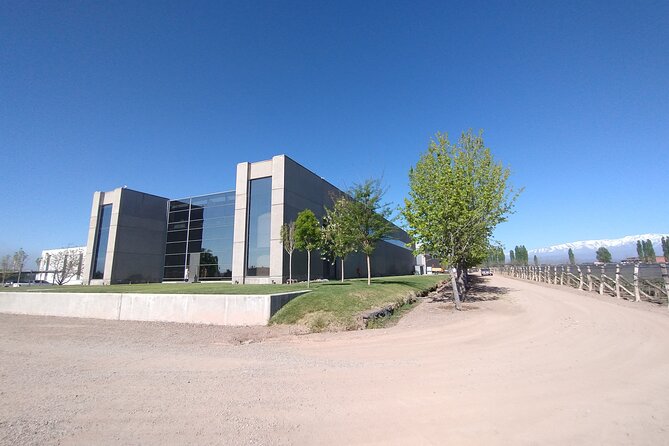 Full Day Wineries in Maipu and Lujan : 2/3 Wineries + 1 Olive Tree - The olive-oil stop adds welcome variety