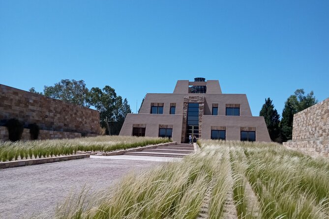 Full Day Wineries in Maipu and Lujan : 2/3 Wineries + 1 Olive Tree - Lunch is flexible, but not included