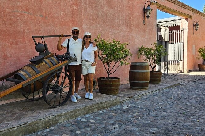 Full Day Wineries in Maipu and Lujan : 2/3 Wineries + 1 Olive Tree - Vehicle comfort and the value of private transport