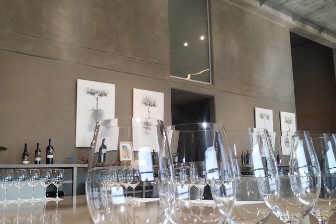 Full Day Wineries in Maipu and Lujan : 2/3 Wineries + 1 Olive Tree - Who should book this Mendoza tour?
