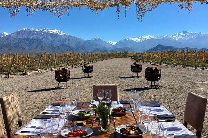 Full Day Wineries in Maipu and Lujan : 2/3 Wineries + 1 Olive Tree - Maipu and Lujan de Cuyo in one day