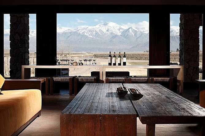 Full Day Winery in Mendoza and Tour of Potrerillos and Cacheuta - Key points at a glance