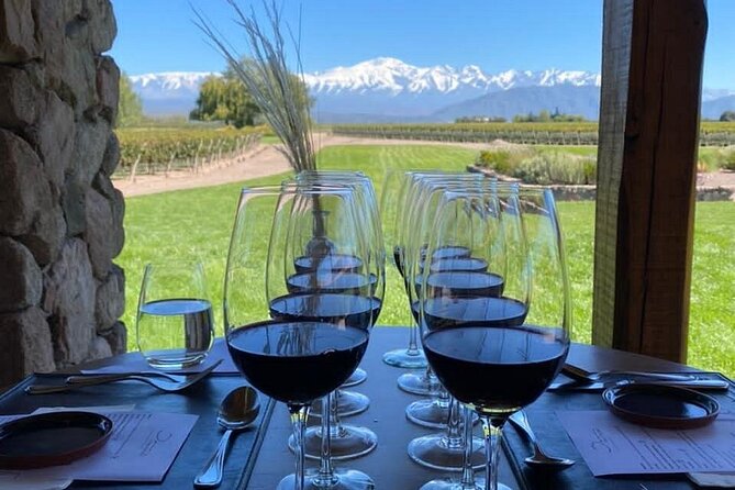 Full Day Winery in Mendoza and Tour of Potrerillos and Cacheuta - What to know before booking