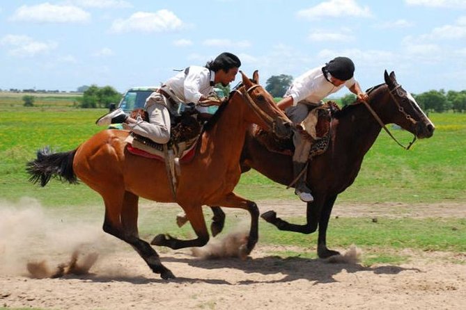 Gaucho Day Tour Don Silvano Estancia From Buenos Aires - Don Silvano Gaucho Day Tour at a Glance