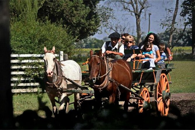 Gaucho Day Tour Don Silvano Estancia From Buenos Aires - Leaving Buenos Aires for Estancia Don Silvano