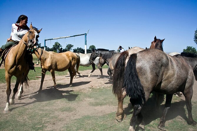 Gaucho Day Tour Don Silvano Estancia From Buenos Aires - Gaucho Horsemanship After Lunch