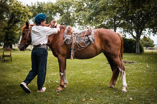 Gaucho Day Tour Ranch at an Estancia from Buenos Aires - From Buenos Aires to the wide pampas