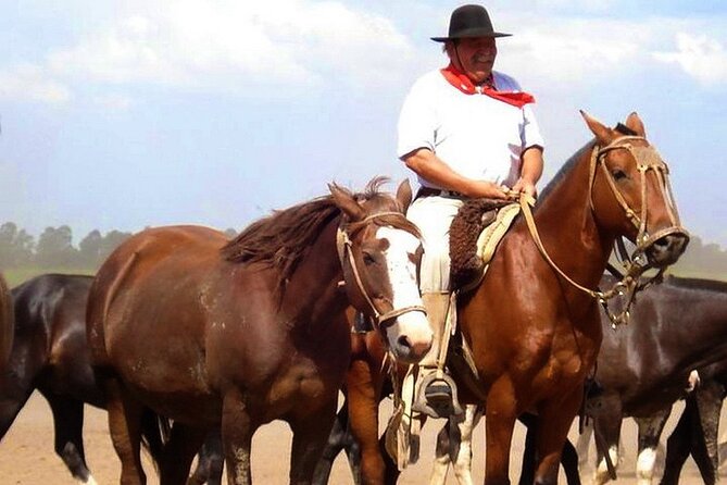Gaucho Day Tour Santa Susana Estancia From Buenos Aires - Key Points to Know Before You Book