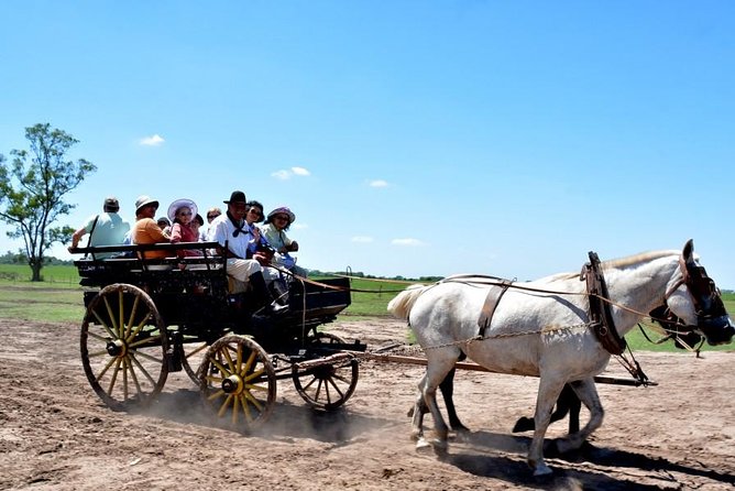 Gaucho Day Tour Santa Susana Estancia From Buenos Aires - A Long Argentine Lunch With Wine