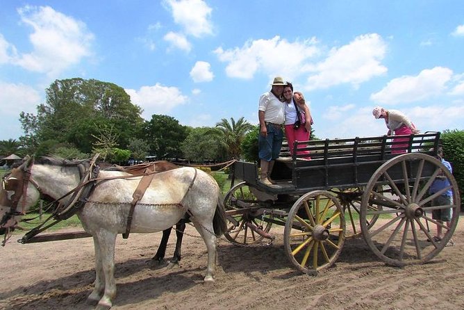 Gaucho Day Tour Santa Susana Estancia From Buenos Aires - The Return to Buenos Aires