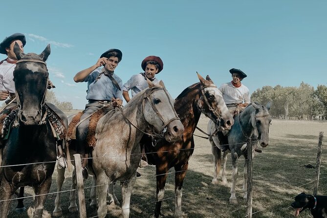 Gaucho Experience: A Day Trip to Don Silvano Ranch - Horseback riding: gentle, scenic, and limited