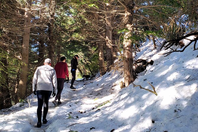GERMAN TREKKING TO BERGHOF - Mountain stories - Views toward Lago Nahuel Huapi and the Andes