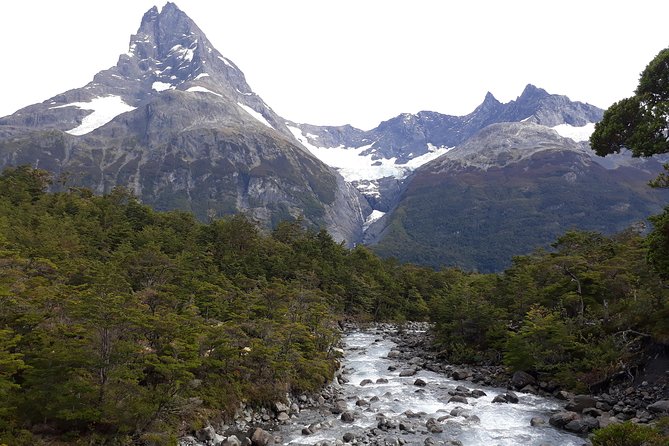 Glacier navigation Mayo Spirit Trek 3 landings and walk through the Forest - Key points to know before booking