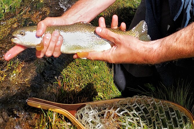 Guided Fly Fishing Tour in Estancia La Carrera - Leaving Mendoza for Estancia La Carrera