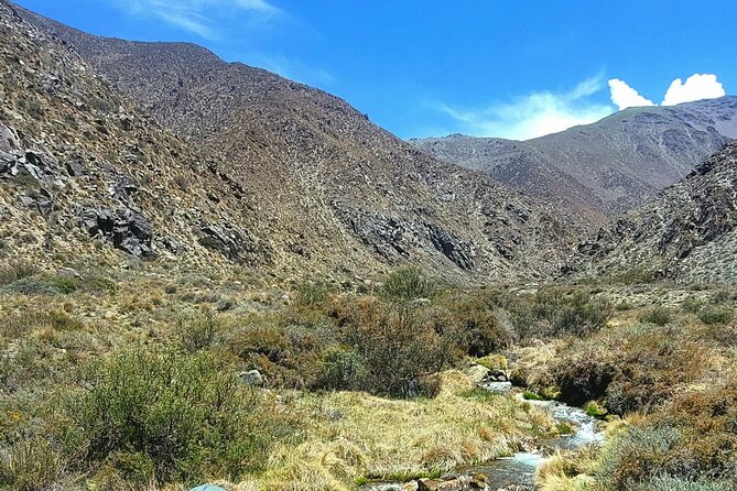 Guided Fly Fishing Tour in Estancia La Carrera - A Midday Table of Cold Cuts and Estancia Wine