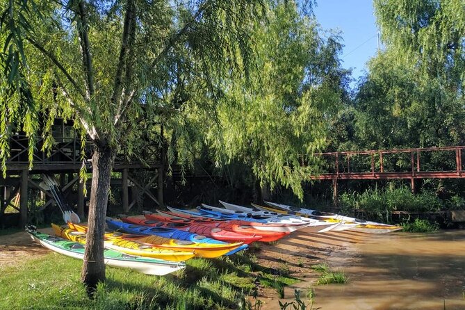 Guided Kayak Tour in Buenos Aires. - Returning to the island for a cold drink