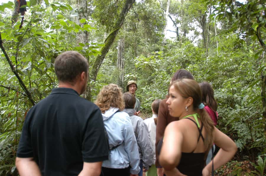 Half-Day Iguazú Forest Adventure - Key points to know before you book