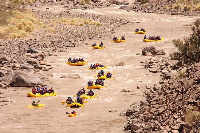 Half Day Rafting or Canopy Adventure Excursion in Mendoza - From Mendoza city to Potrerillos
