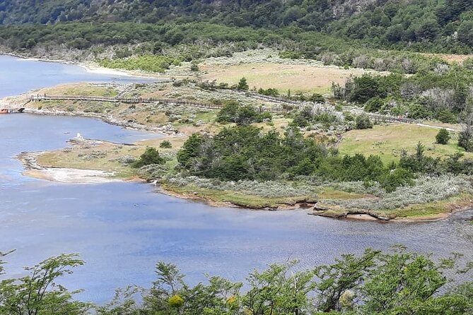 Half-Day Tierra del Fuego National Park - What the half-day format really gives you