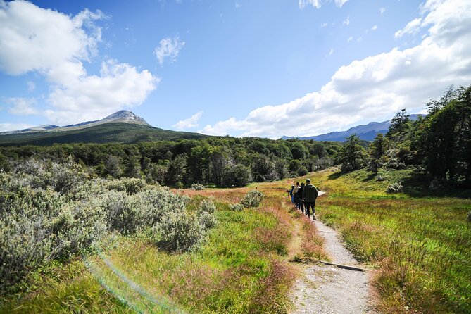 Half-Day Tierra del Fuego National Park with Lunch and Drinks - Ensenada Bay and the park’s quieter edges