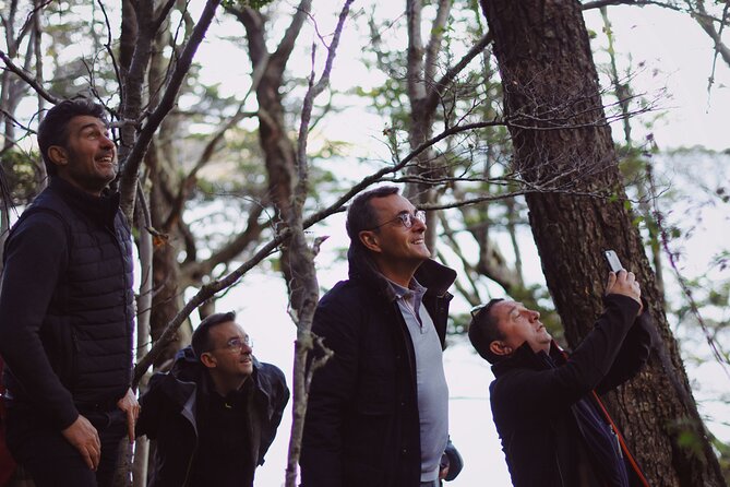 Half-Day Tierra del Fuego National Park with Train - Bahia Lapataia and the end of the Pan-American route