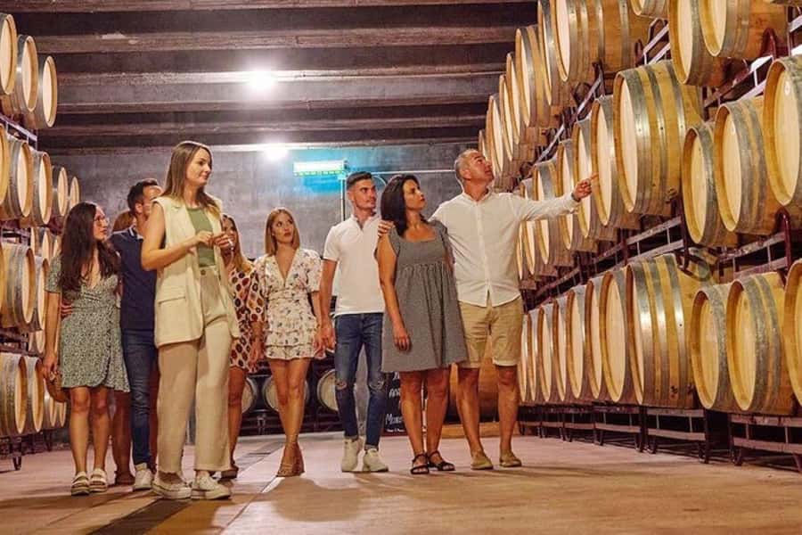 Half Day Tour of Wineries and Olive Oil from Mendoza - Key points to know before you book