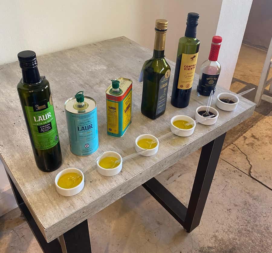 Half Day Tour of Wineries and Olive Oil from Mendoza - Who will get the most from this tour