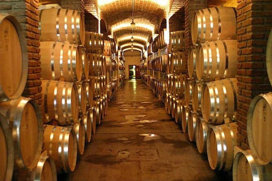 Half Day Tour of Wineries and Olive Oil from Mendoza - Hotel pickup and the ride into the vineyards