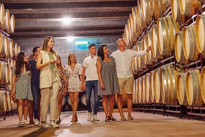 Half Day Tour of Wineries and Olive Oil with Lunch from Mendoza - Key points at a glance
