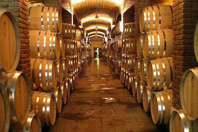 Half Day Tour of Wineries and Olive Oil with Lunch from Mendoza - Why Maipú makes sense for a half-day tour