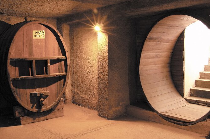 Half Day Tour of Wineries and Olive Oil with Lunch from Mendoza - The olive oil stop adds a welcome change