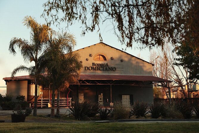 Half Day Tour of Wineries and Olive Oil with Lunch from Mendoza - Lunch is the detail you need to clarify