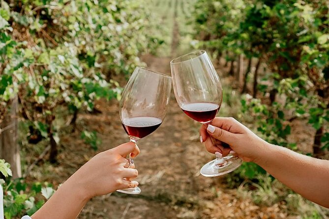 Half Day Tour of Wineries and Olive Oil with Lunch from Mendoza - What the $100 price really buys