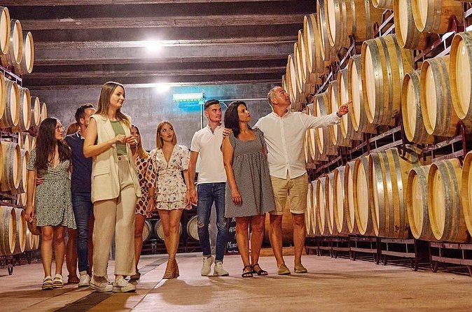 Half Day Tour of Wineries and Olive Oil with Lunch from Mendoza - What to bring for a smoother day