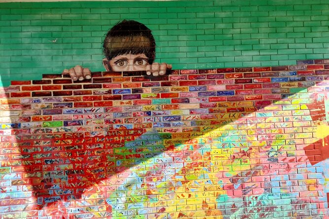 Half Day Walking Tour Discovering Palermo Soho & Graffiti in Buenos Aires - Gurruchaga and Coronel Cabrera: art beside expensive homes