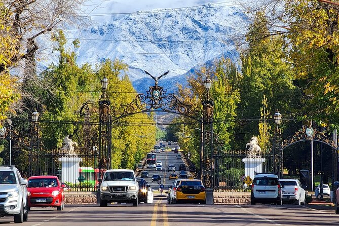 High Mountain Tour in Mendoza, Full Day - Why this Mendoza mountain day is worth considering