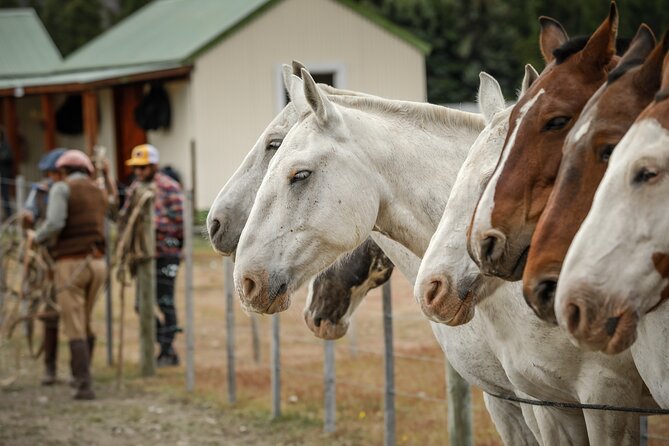 Horse Back Riding Expedition - The day at a glance