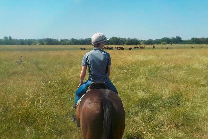Horse Riding in the Argentine Countryside – Beginner Friendly - Key points to know before booking