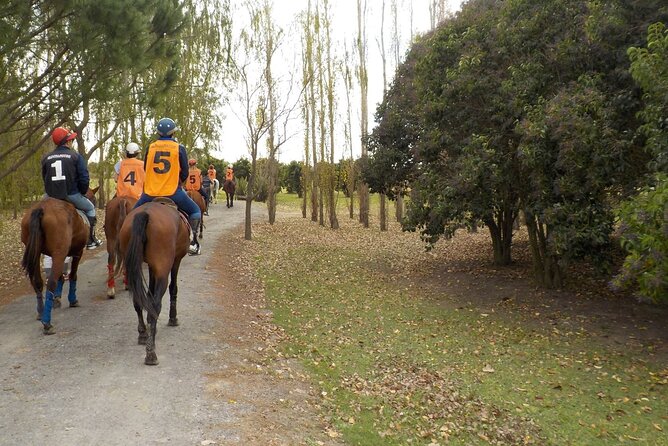 Horse Riding in the Argentine Countryside – Beginner Friendly - Leaving Buenos Aires for open countryside