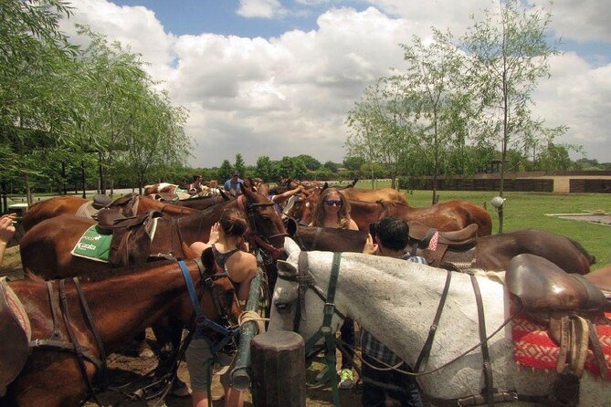 Horse Riding in the Argentine Countryside – Beginner Friendly - Weather, cancellation, and planning advice