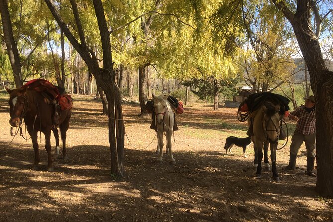 Horseback expedition to The Andes, 2 days. Sleep in the heart of the mountain. - Breakfast at the ranch, with mate and homemade bread