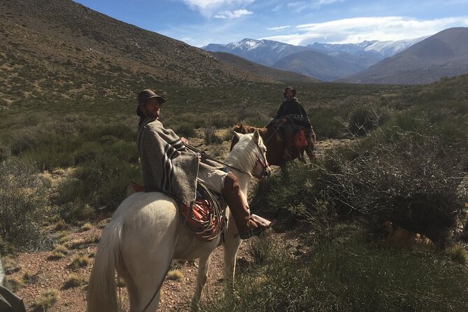 Horseback expedition to The Andes, 2 days. Sleep in the heart of the mountain. - Camping beneath the stars or sleeping at the refuge