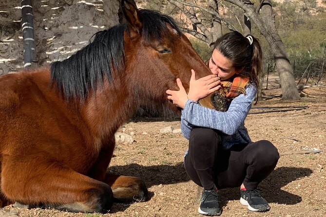 Horseback expedition to The Andes, 2 days. Sleep in the heart of the mountain. - A second morning with time to explore