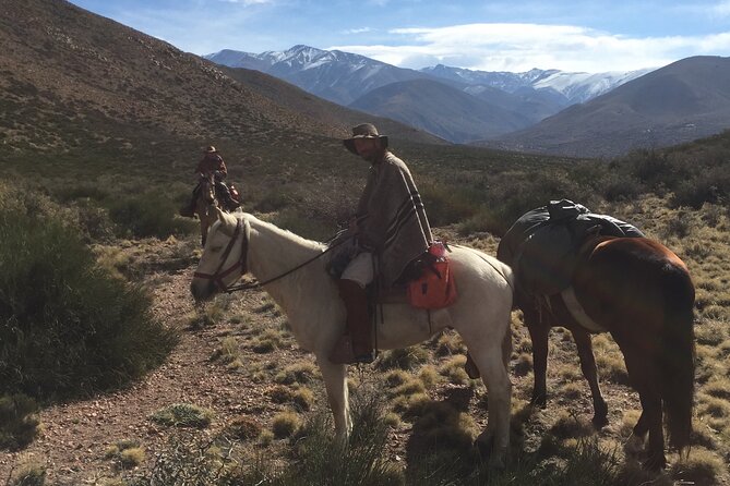 Horseback expedition to The Andes, 2 days. Sleep in the heart of the mountain. - Choosing a horse for your riding experience