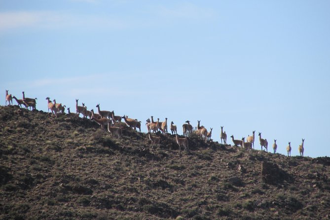 Horseback expedition to The Andes, 3 days - Leaving Mendoza at 7:00 a.m.