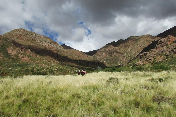 Horseback expedition to The Andes, 3 days - Riding into the Andes