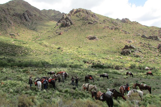 Horseback expedition to The Andes, 3 days - Two nights under the Andes stars