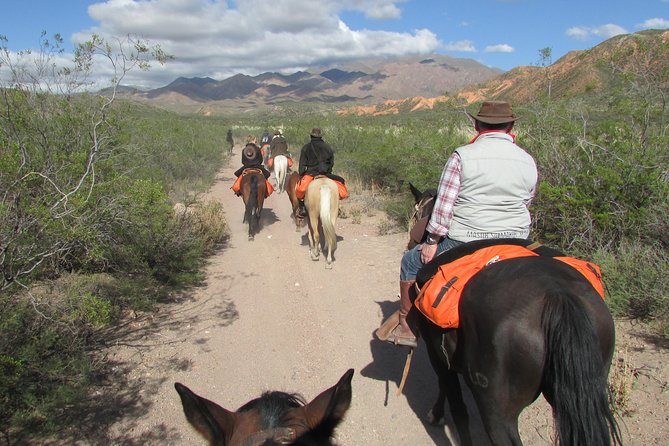 Horseback expedition to The Andes, 3 days - Meeting the horses and choosing your pace
