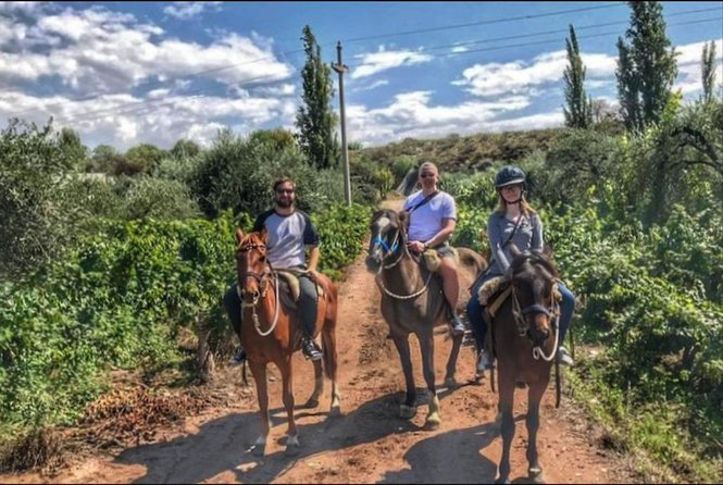 Horseback ride through vineyards followed by gourmet lunch - Vineyards, olive groves, and the Mendoza River
