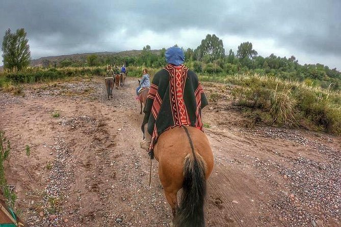 Horseback ride through vineyards followed by gourmet lunch - The ride to Lunlunta and southern Maipu